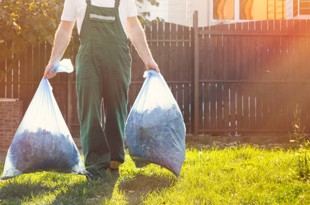 Best Demolition Debris Removal  in Rosemont, IL